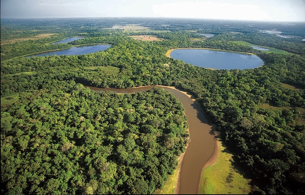 World Wetland Day