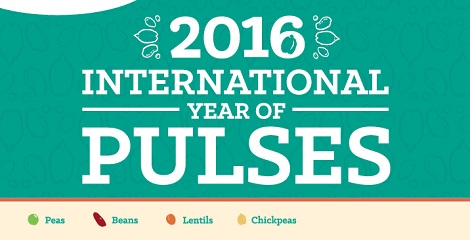 UN launched 2016 International Year of Pulses