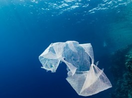 Ocean Alert (Plastic Fish) 2050