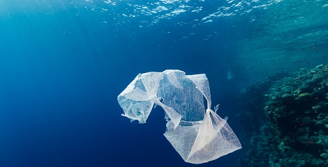 Ocean Alert (Plastic  Fish) 2050