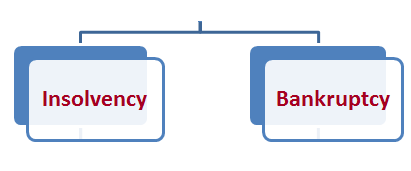 Insolvency VS. Bankruptcy