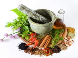 Cabinet approves to ink a consent in the area of Traditional Medicine AYUSH and WHO