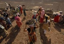 Govt praises MGNREGA as scheme completes 10 years Govt praises MGNREGA as scheme completes 10 years