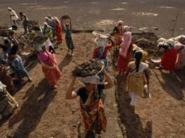Govt praises MGNREGA as scheme completes 10 years