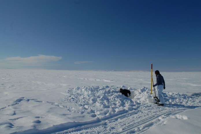 High sediment mercury levels reported in Arctic region High sediment mercury levels reported in Arctic region