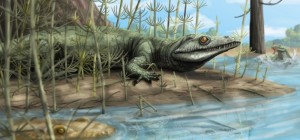 Fossil of 250 million year old reptile species discovered