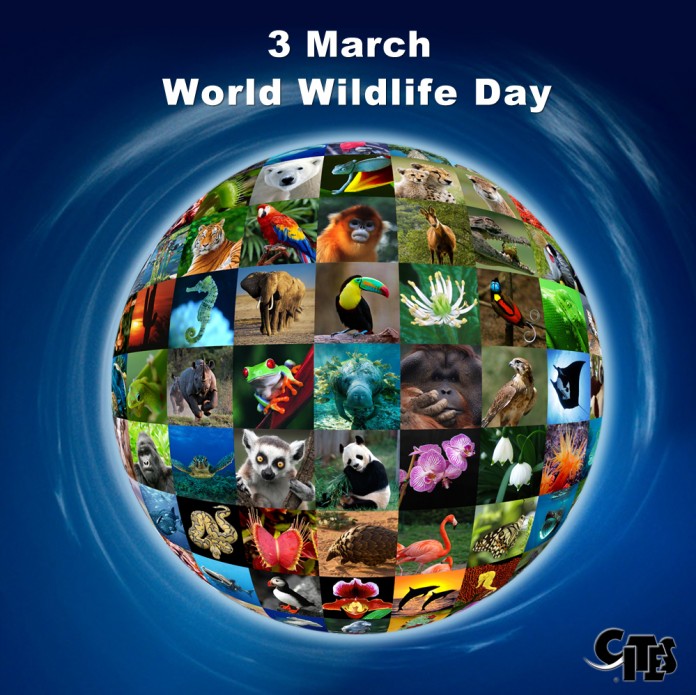 World Wildlife Day March 3