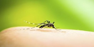 Philippines instigated World's maiden Public Immunization Program for Dengue