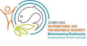 Internation Day of Biodiversity May 22