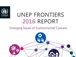 UNEP Report