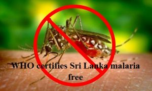 WHO certifies Sri Lanka malaria free