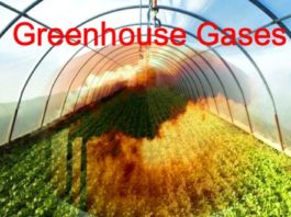 India to eliminate potent greenhouse gas HFC-23 by 2030