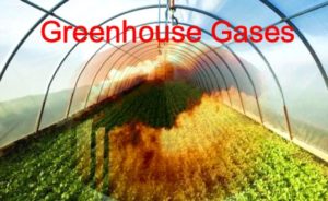 India to eliminate potent greenhouse gas HFC-23 by 2030