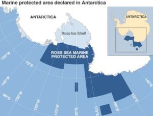 Ross Sea: World's largest marine protected area declared in Antarctica