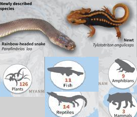 163 New Species Discovered in Greater Mekong