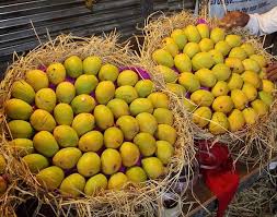 Australia to Import Indian Mangoes for first time