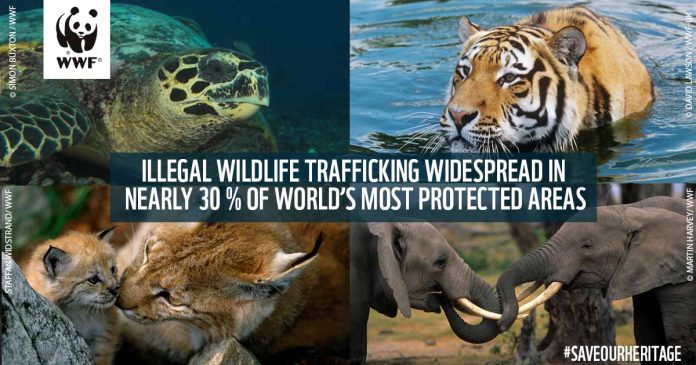 Wildlife trafficking threatens 30% world natural Heritage Sites WWF Wildlife trafficking threatens 30% world natural Heritage Sites WWF