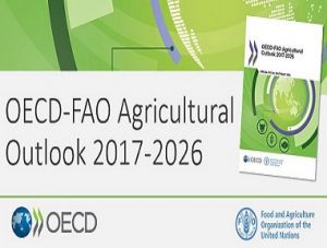 OECD-FAO Agricultural Outlook 2017-2026