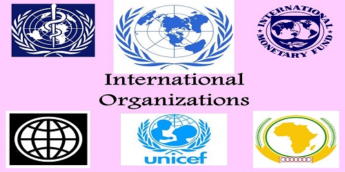 international organizations assignment quizlet