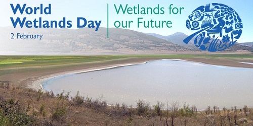 World Wetlands Day - February 2