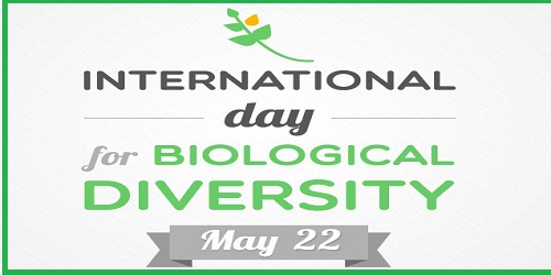 International Bio-diversity Day