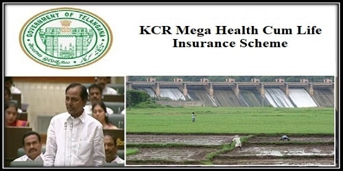 Telangana government announces unique life insurance scheme for farmers