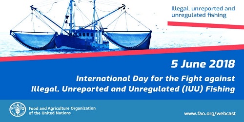 International Day for the Fight against Illegal, Unreported and Unregulated Fishing - 5 June