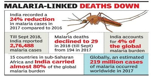 Malaria cases declined by 24% in India