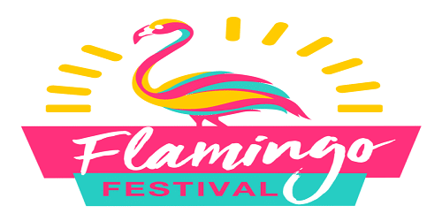 Flamingo festival in Andhra Pradesh