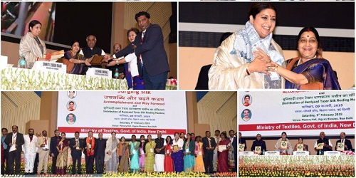 Surging Silk, Mega Event  Held in New Delhi