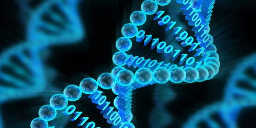 Digital information into DNA
