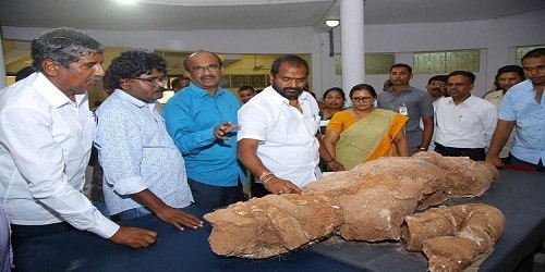 Biggest stucco figurine unearthed in Telangana's Phanigiri