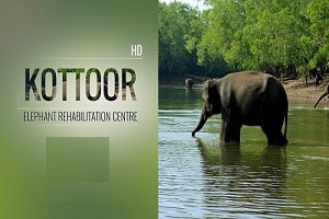 Kerala’s Kottoor
