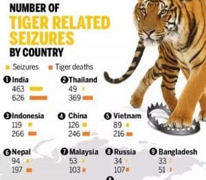 2019 report by “TRAFFIC” reveals 2000 tigers poached