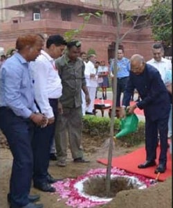 Indian President launches plantation drive in New Delhi