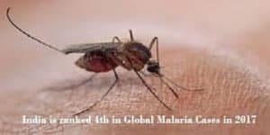 India is ranked fourth in Global Malaria Cases in 2017