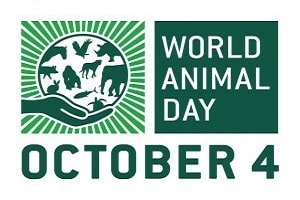 World Animal day 2019