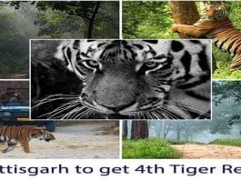 National Park as tiger reserve