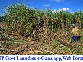 e-Ganna App Web portal