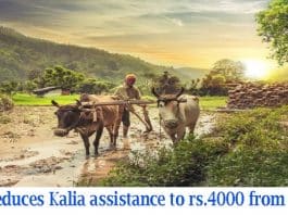 Odisha cuts financial aid to farmers under Kalia to Rs 4,000 from Rs 10,000