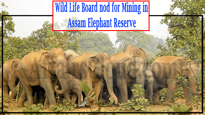 NBWL nod for coal mining in Assam elephant reserve