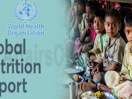 WHO's Global Nutrition Report 2020