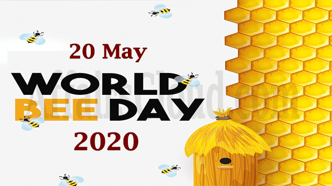 World Bee Day 2020