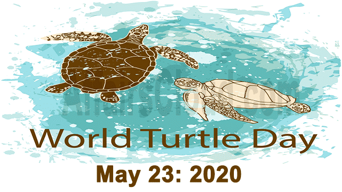 World Turtle Day 23 2020