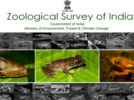 ZSI lists 20 species of amphibians