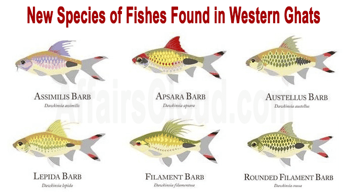 new species of fishes found in Western Ghats