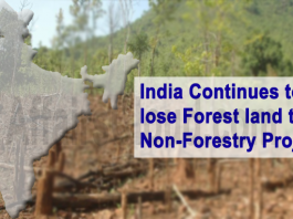 India continues to lose forest land to non-forestry projects