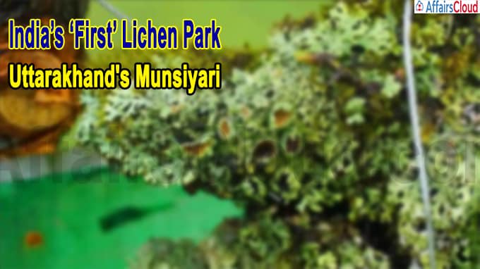 India’s ‘first’ lichen park in Uttarakhand's Munsiyari