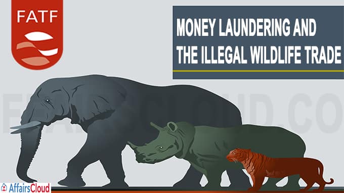 Money Laundering and the Illegal Wildlife Trade