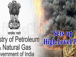 Oil Ministry sets up high-level panel